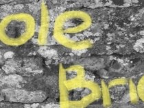 Sole Brick