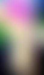 1433061391 artist 488181 1433061361