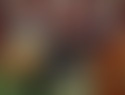 Hcct may 2021 austin tx