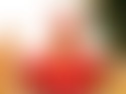 Adobe 20190419 184228