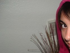 ReverbNation profile picture for @account
