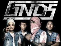 GNDS