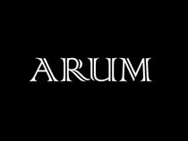 Arum
