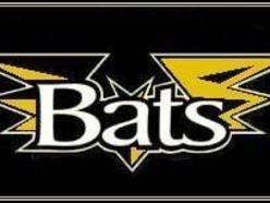 ReverbNation profile picture for @bats