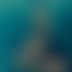 1437826186 fullsizerender