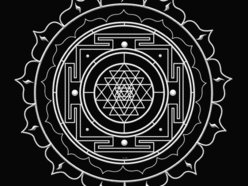 Image for Internal Sun