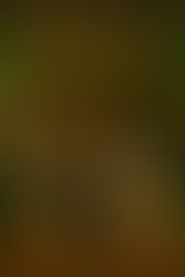 Img 20250620 wa0001