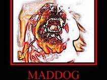 MAD DOG