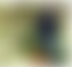 D24a3dc5d9cd99096055cdade45b79e26764fc34