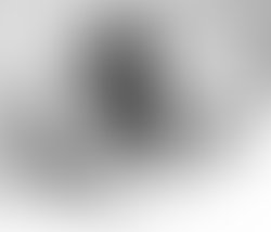 12715679 846733465437708 7696392262777145796 n