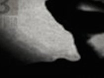 The Dark Visible