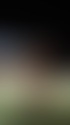 11056061 10204314150363103 5902404064780755166 n