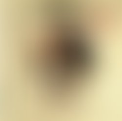 1435148509 sautipic2