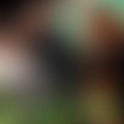 New treebeard square copy