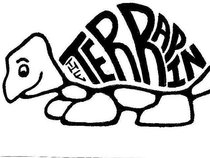 The Terrapin