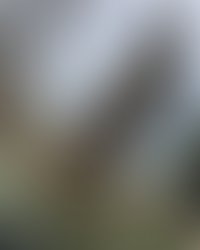 Img 20170416 061725 827