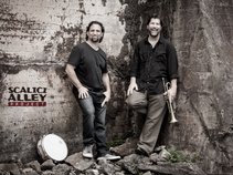 Scalici-Alley Project