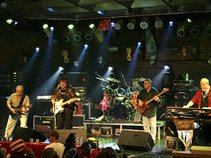The Radiators