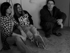 Image for Dead Zebbra