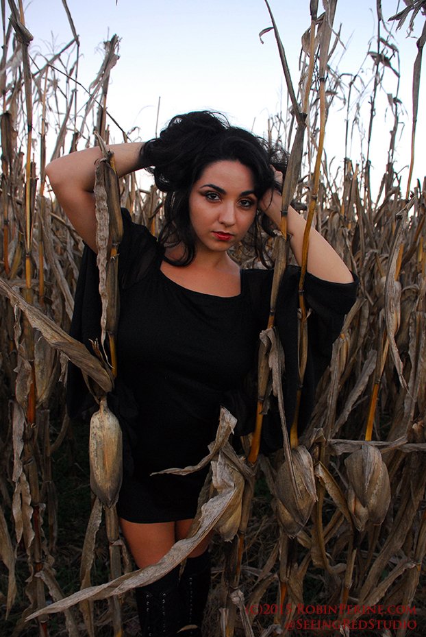 ReverbNation profile picture for @stonewalled