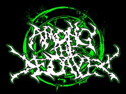 Among The Decayed