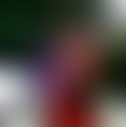 Artist 4947069 1526626967