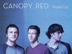 Image for Canopy Red