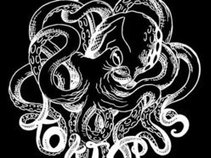 Koktopus