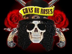 Image for Guns or Roses