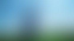 878787