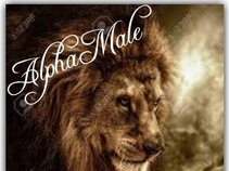 Alphamale