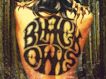 BLACK OWLS