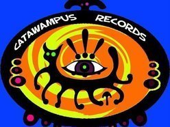 Image for Catawampus Artists