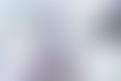 15965479 555047414687712 7559859633611983684 n