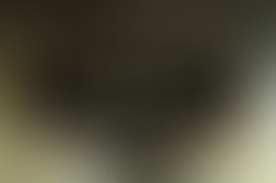 Lonelycreaturescover1 copy