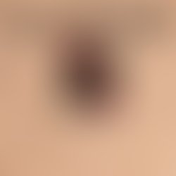 Reverb bigger profile edited 3
