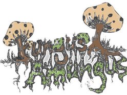 Image for Fungus Amungus