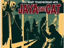 Jaya The Cat
