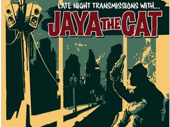 Jaya The Cat