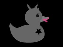 Greyduck