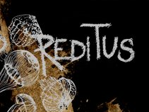 Reditus