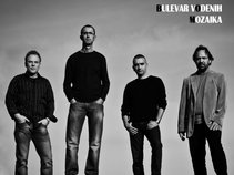 BULEVAR VODENIH MOZAIKA