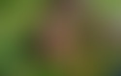 1439989053 915711485120456 2068256242524361888 n