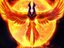 The Phoenix