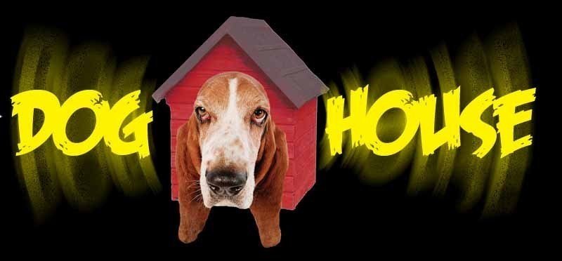 ReverbNation profile picture for @doghouse