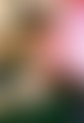 Stylez pic for website