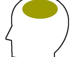 Image for Mustardmind