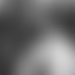 Artist 5012667 1490012020