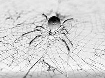spider mic