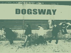 Image for dogsway